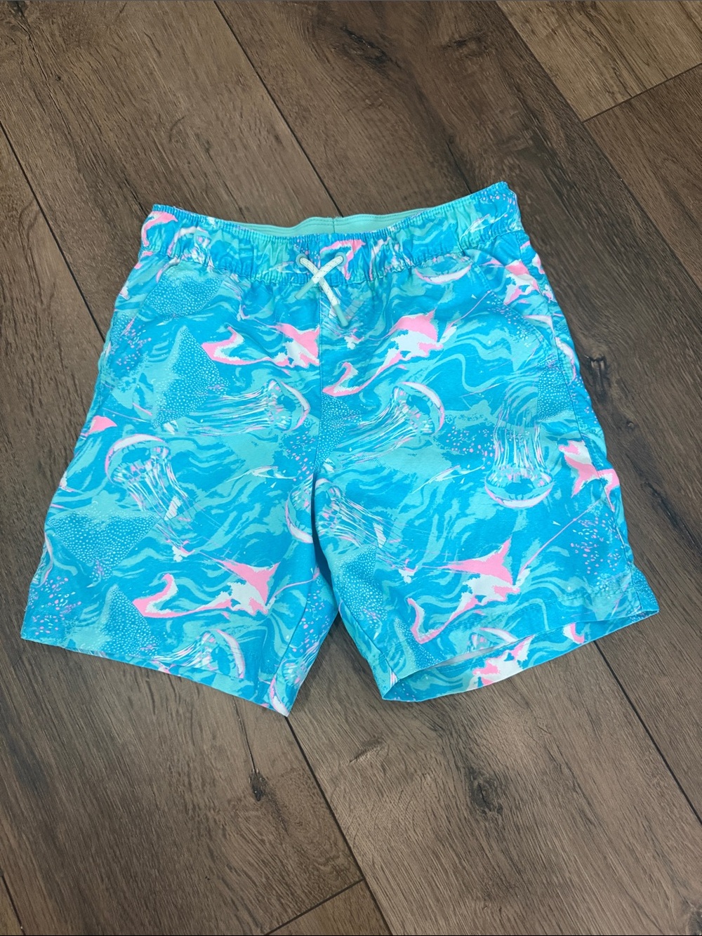 Cat&Jack Kids Blue & Pink Swim Shorts
